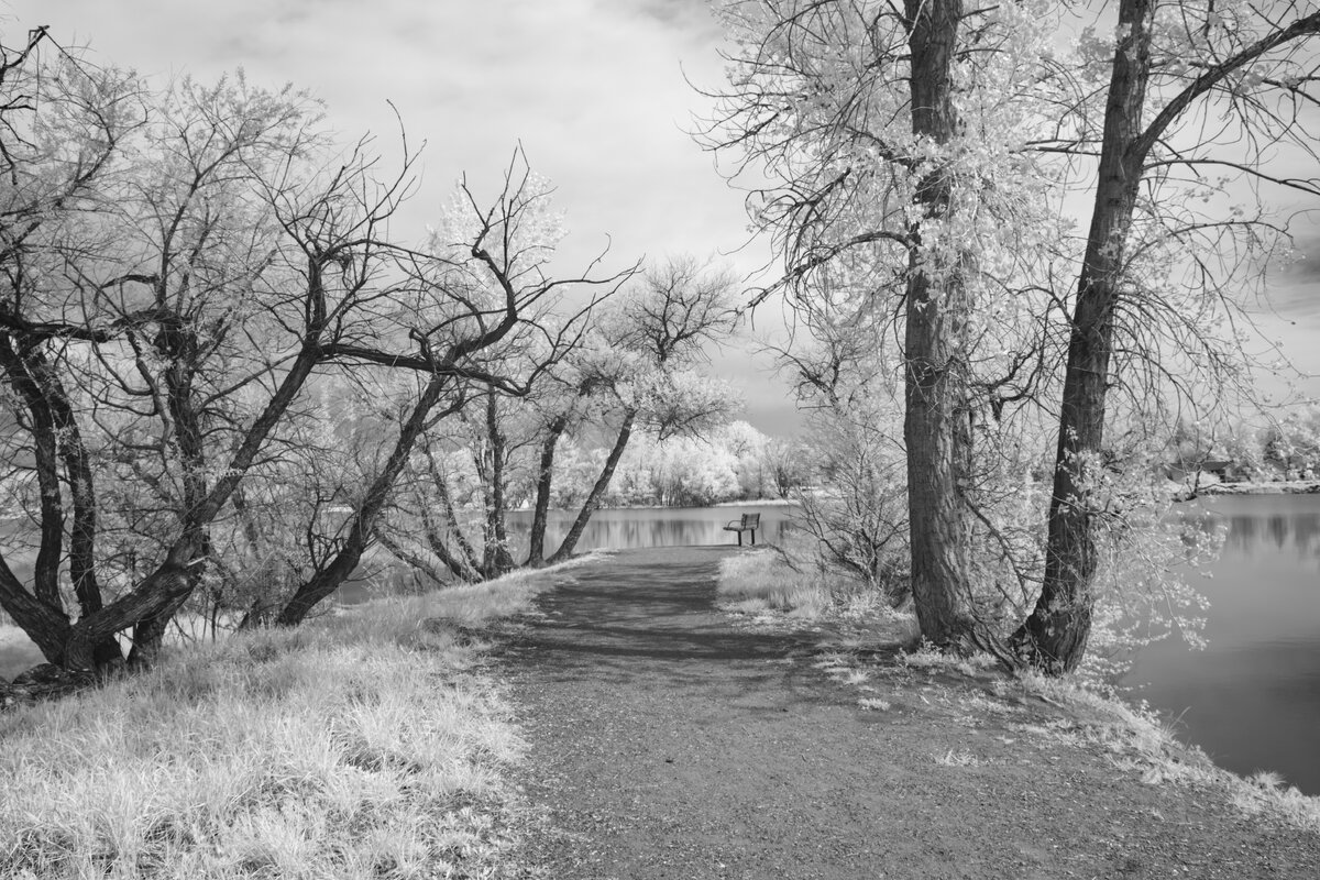 Two more IR Images from a Local Park | Focal World