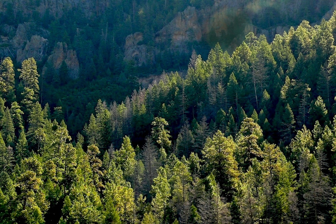 Jemez.jpg