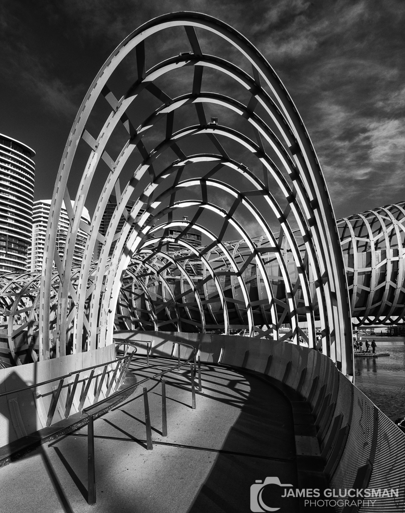 jg-20230825-Canon EOS R5-0275-Edit.jpg