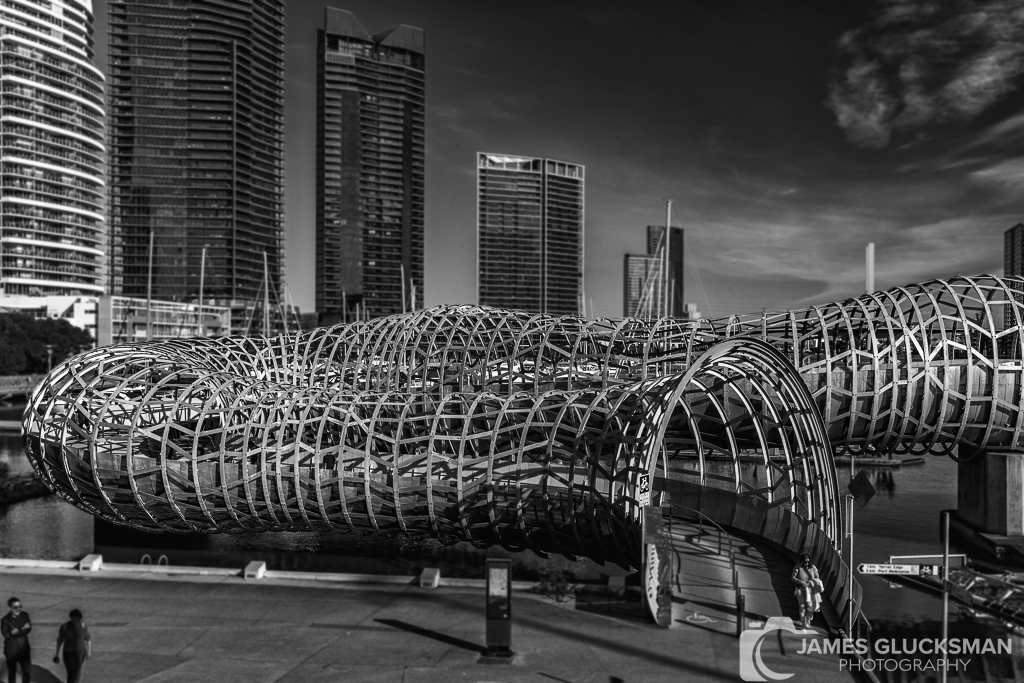 jg-20230825-Canon EOS R5-0301-Edit-Edit.jpg