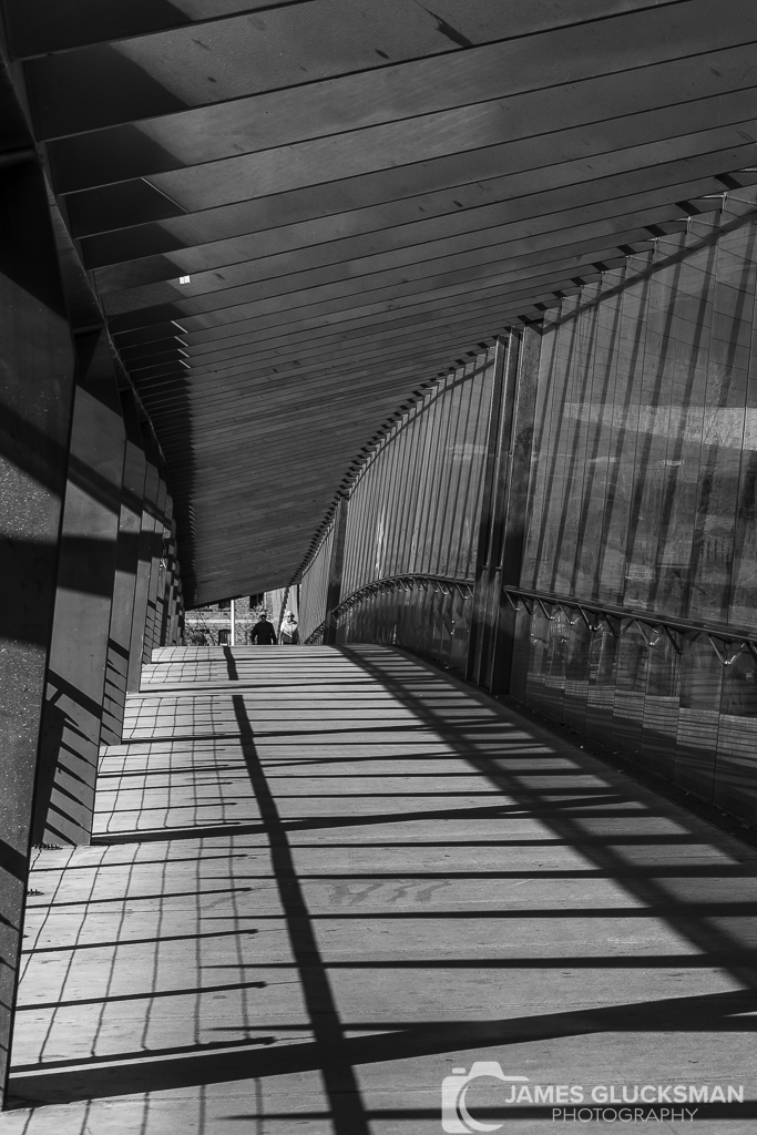 jg-20230825-Canon EOS R5-0386.jpg