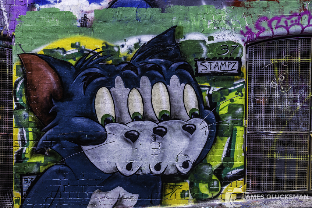 jg-20230825-Canon EOS R5-0483.jpg