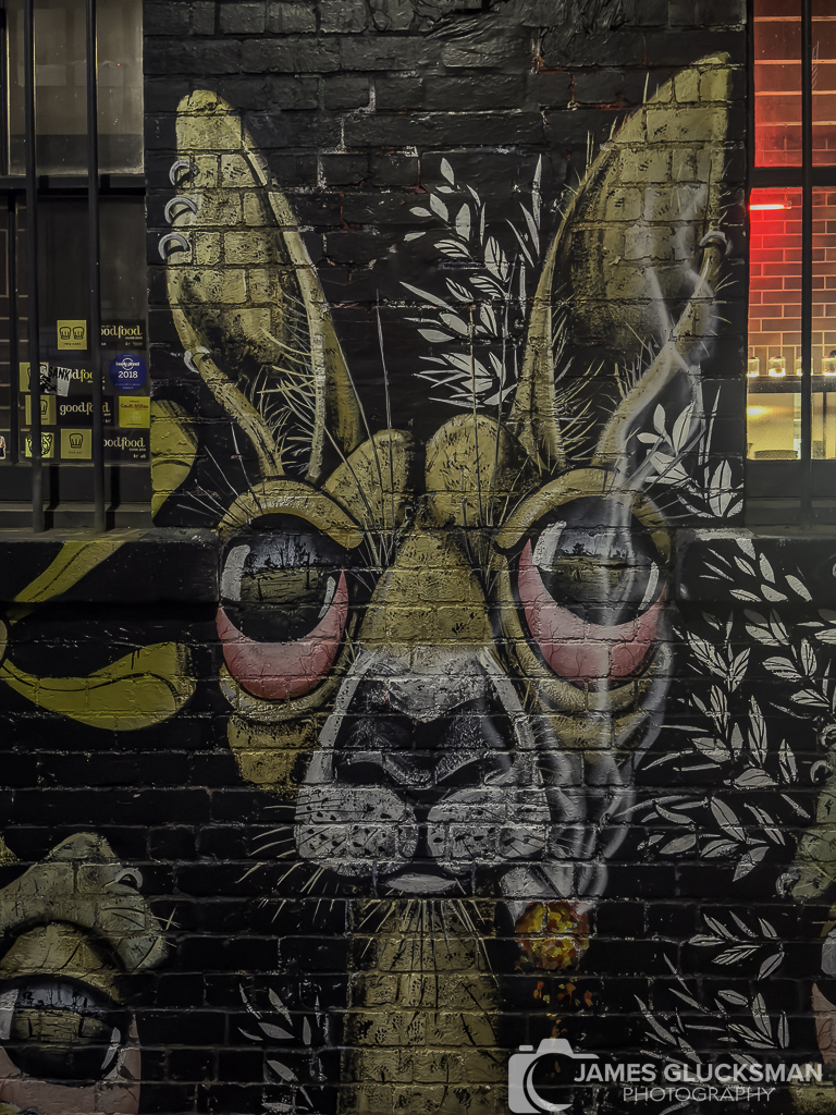 jg-20230826-iPhone 14 Pro-8582.jpg