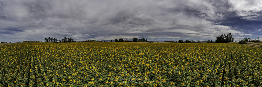jg-20240119-L1D-20c-100_0835-Pano-01-Pano.jpg