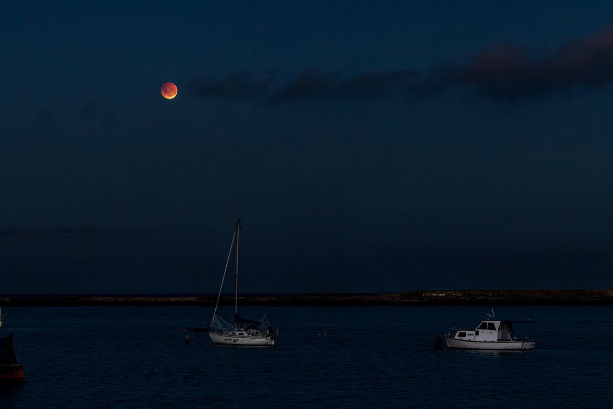 jg-20250314-Canon EOS R5-9957-Enhanced-NR-LargeJPEG.jpg