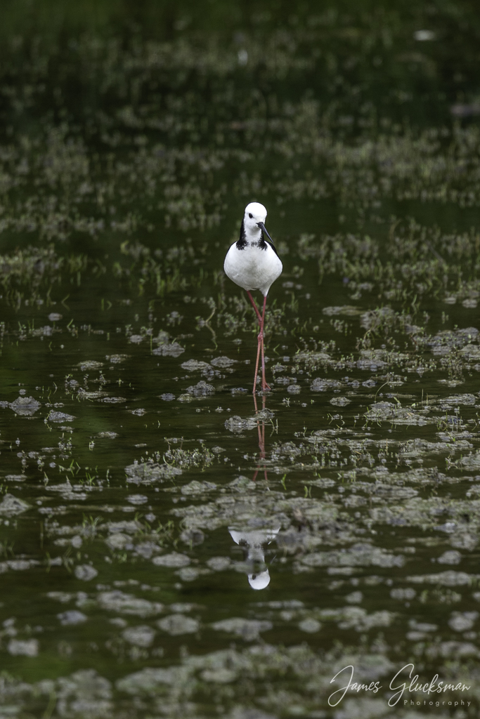 jg-20251122-Canon EOS R5m2-7312.jpg