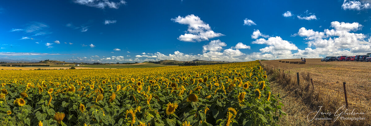 jg-20260201-iPhone 17 Pro-2508-LargeJPEG.jpg