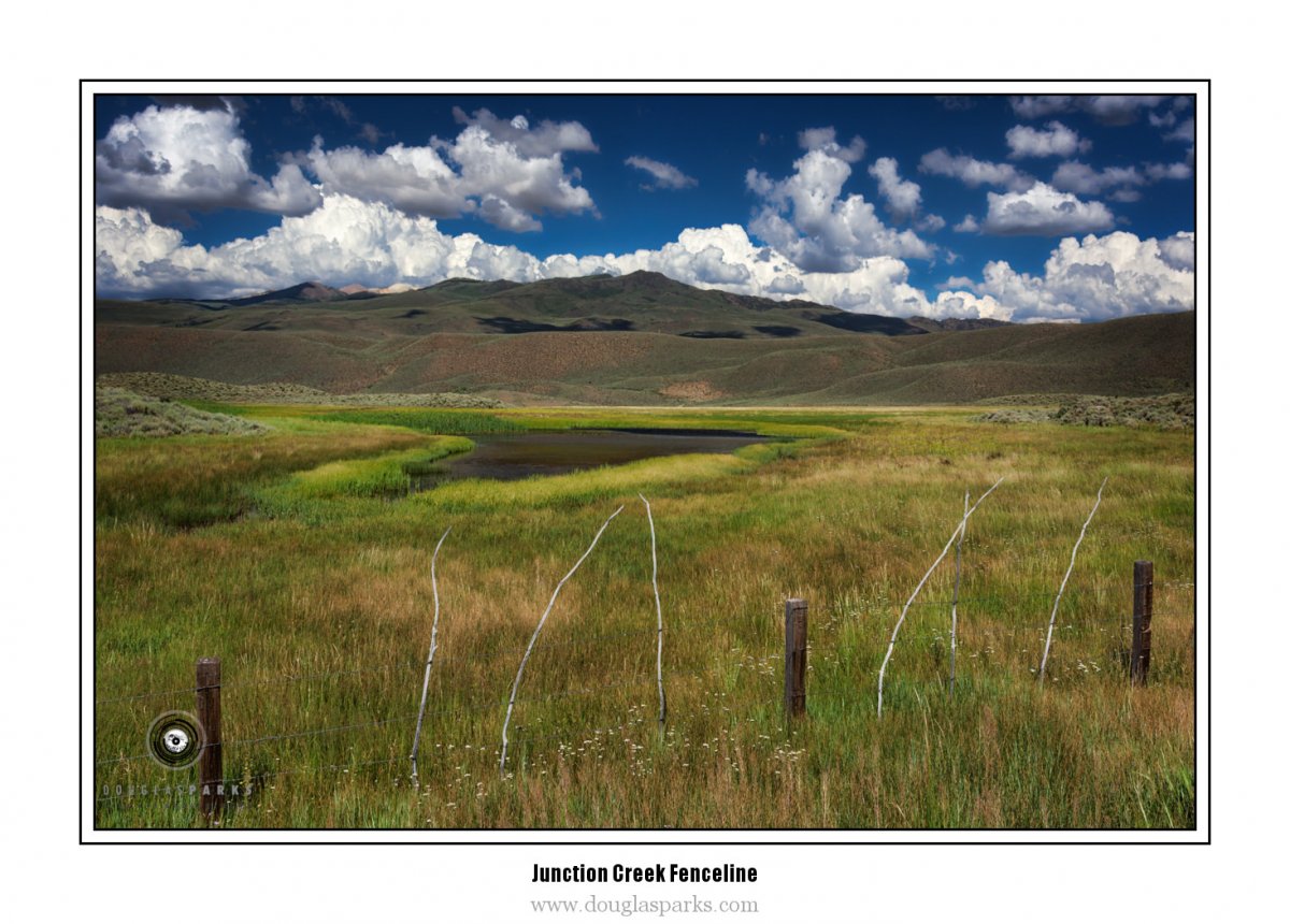 Junction Creek Fenceline.jpg