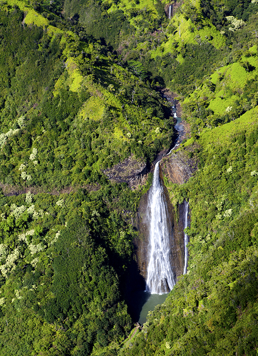 Jurassic Falls Kauai.jpg