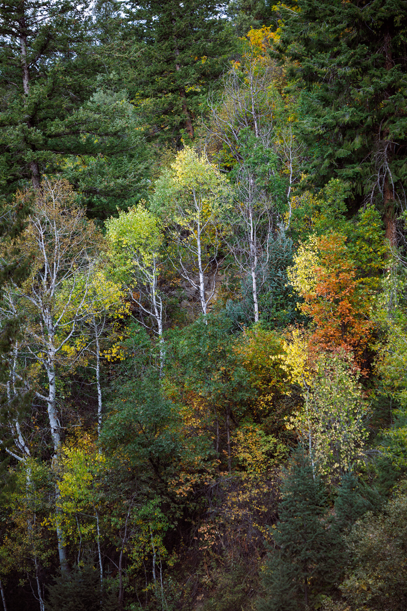 Kebler-Pass---09-18-2021.jpg