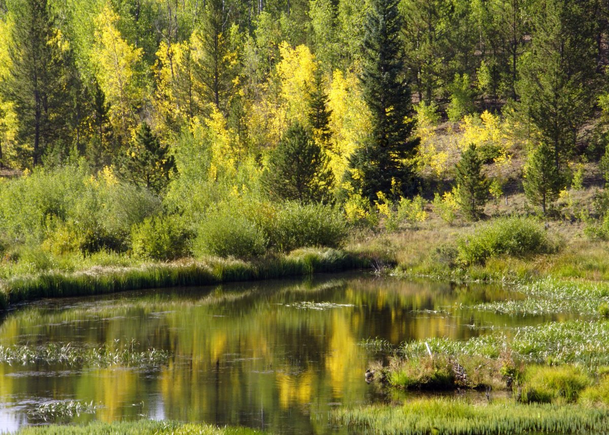Kenosha Pass.jpg