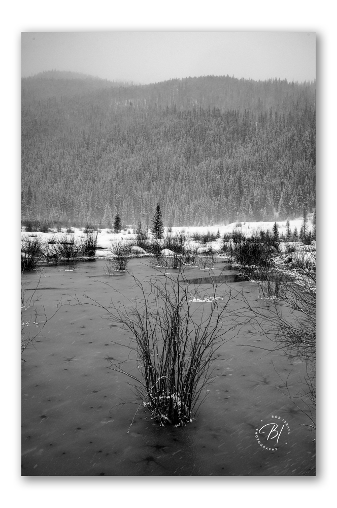 Keystone 031425-37_664x1000_U_100_BIP 1000-2.jpg