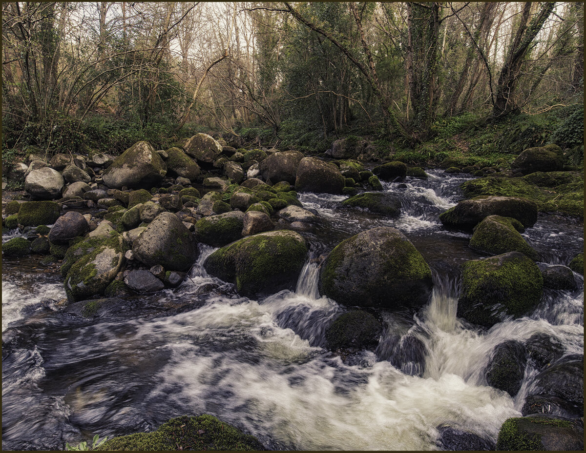 Knocksink Falls.jpg