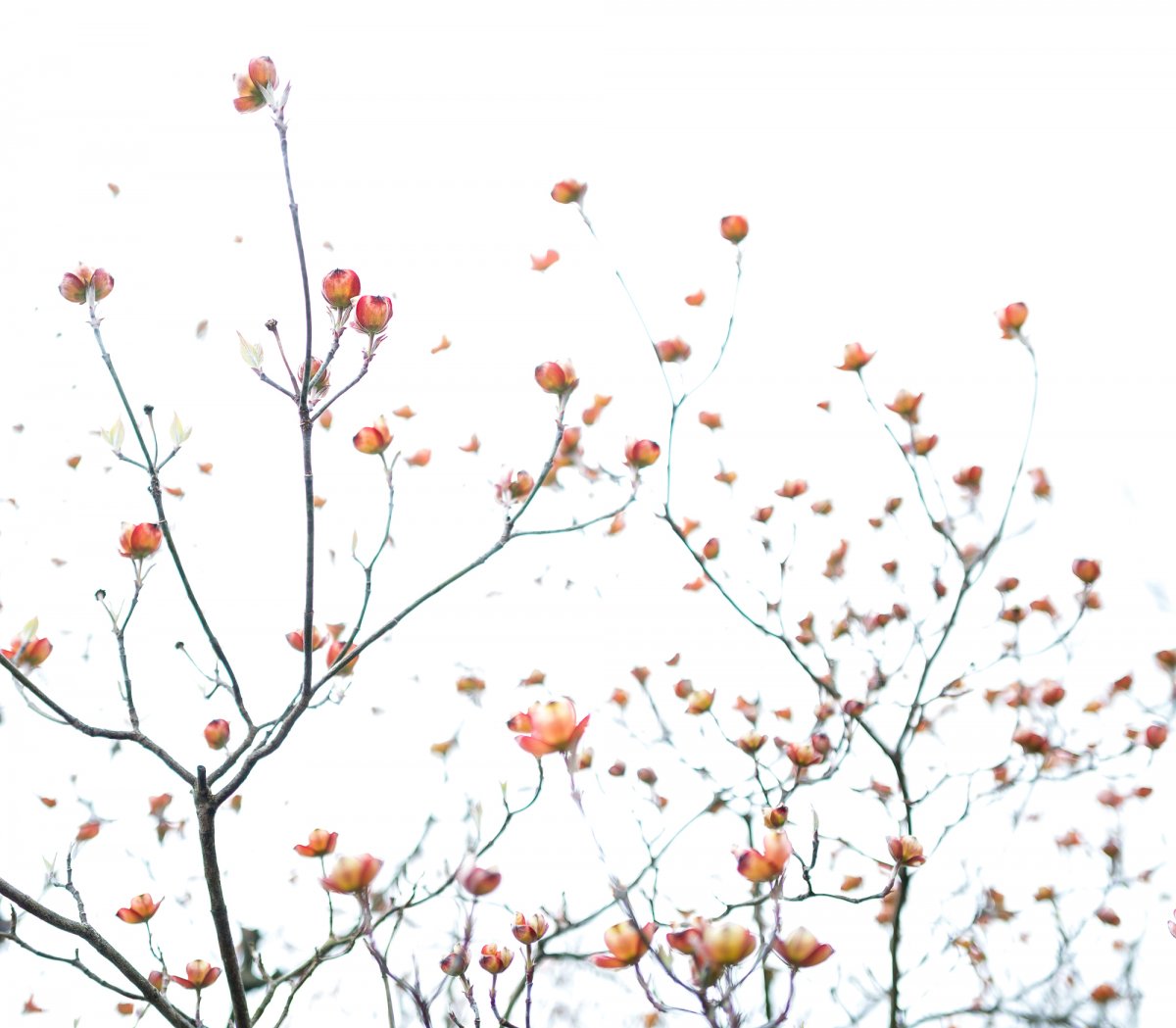 L1000995-Edit.jpg