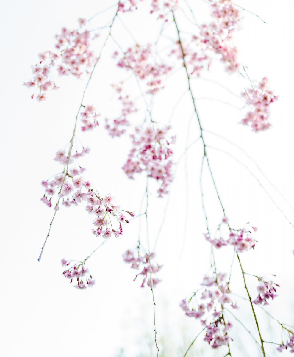 L1010111-Edit.jpg