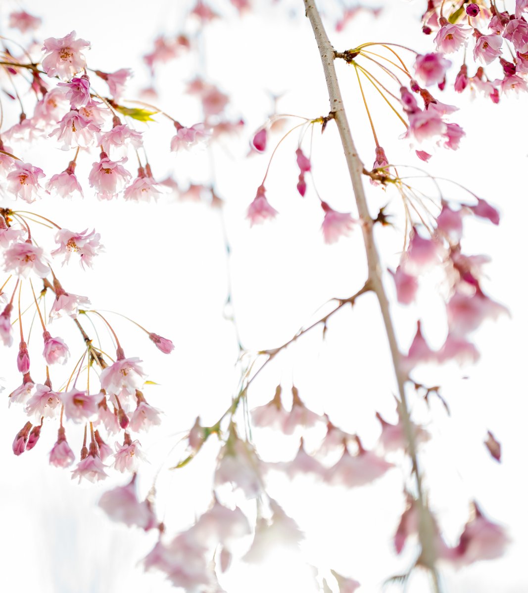 L1010188-Edit.jpg