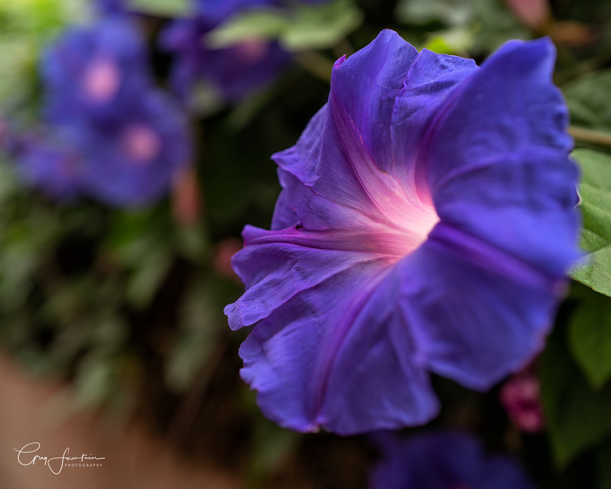 L1030611-Edit-Edit-Edit.jpg