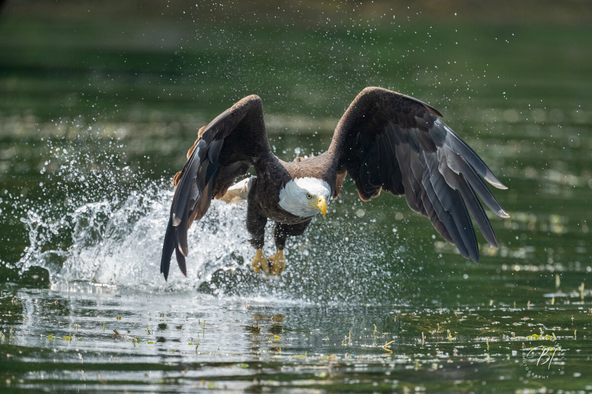 Lake Minnetonka 061623-34-Edit.jpg