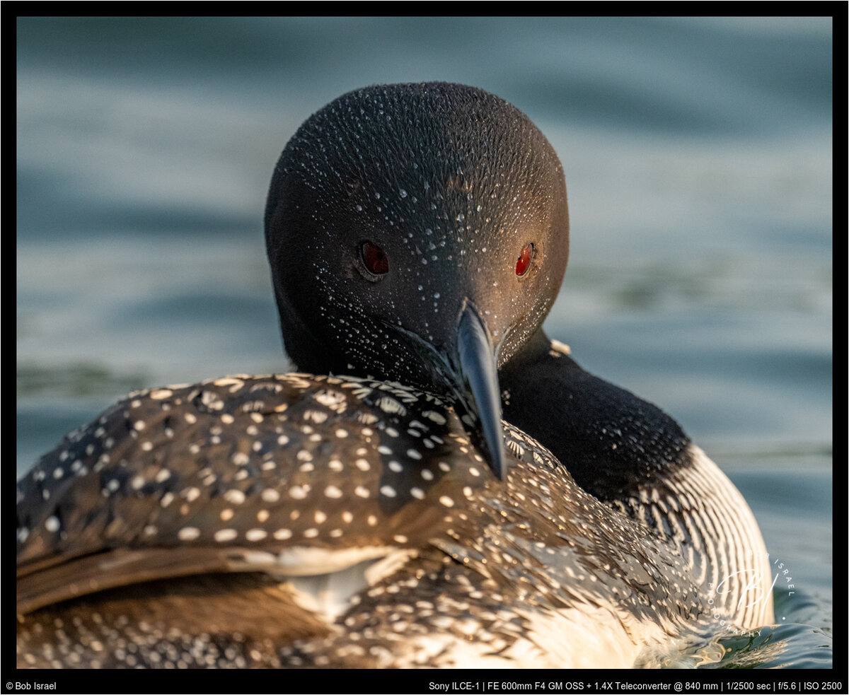 Lake Minnetonka 071621-306-Edit.jpg