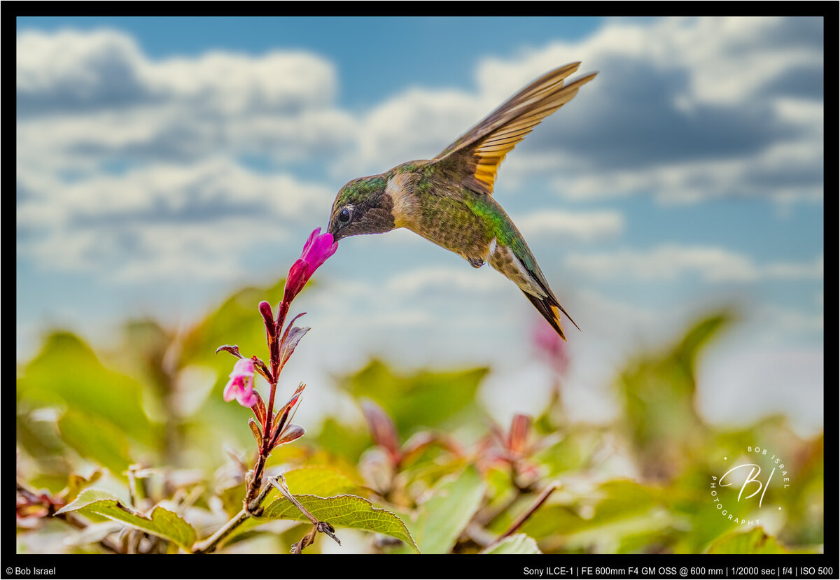 Lake Minnetonka 081821-13-Edit-Edit-4-Edit.jpg
