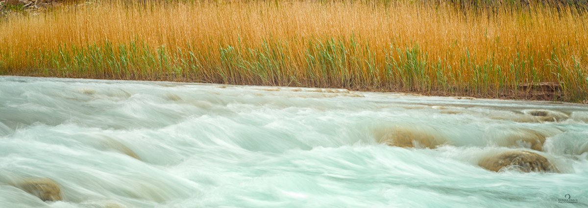 LCR-water-&-grass-pano.jpg