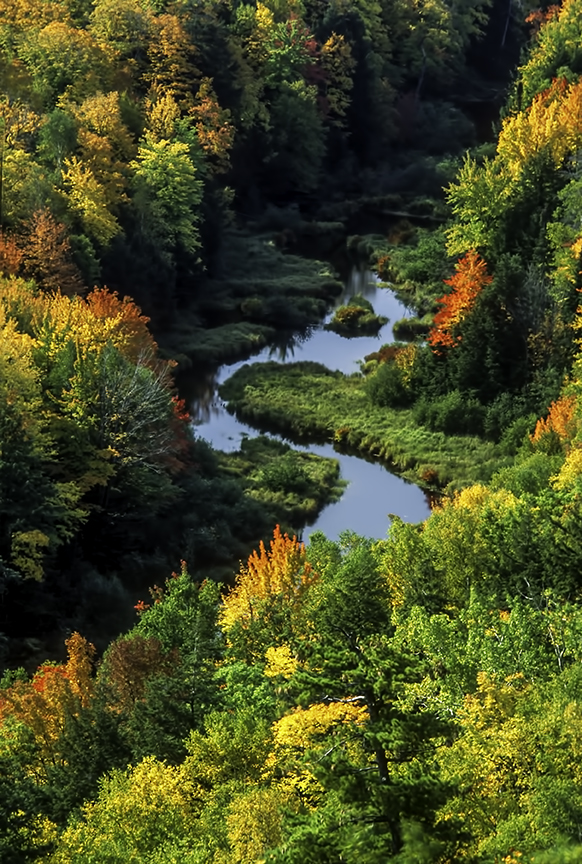Little Carpe River.jpg