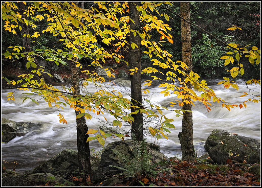 Little River 3 Friends.jpg