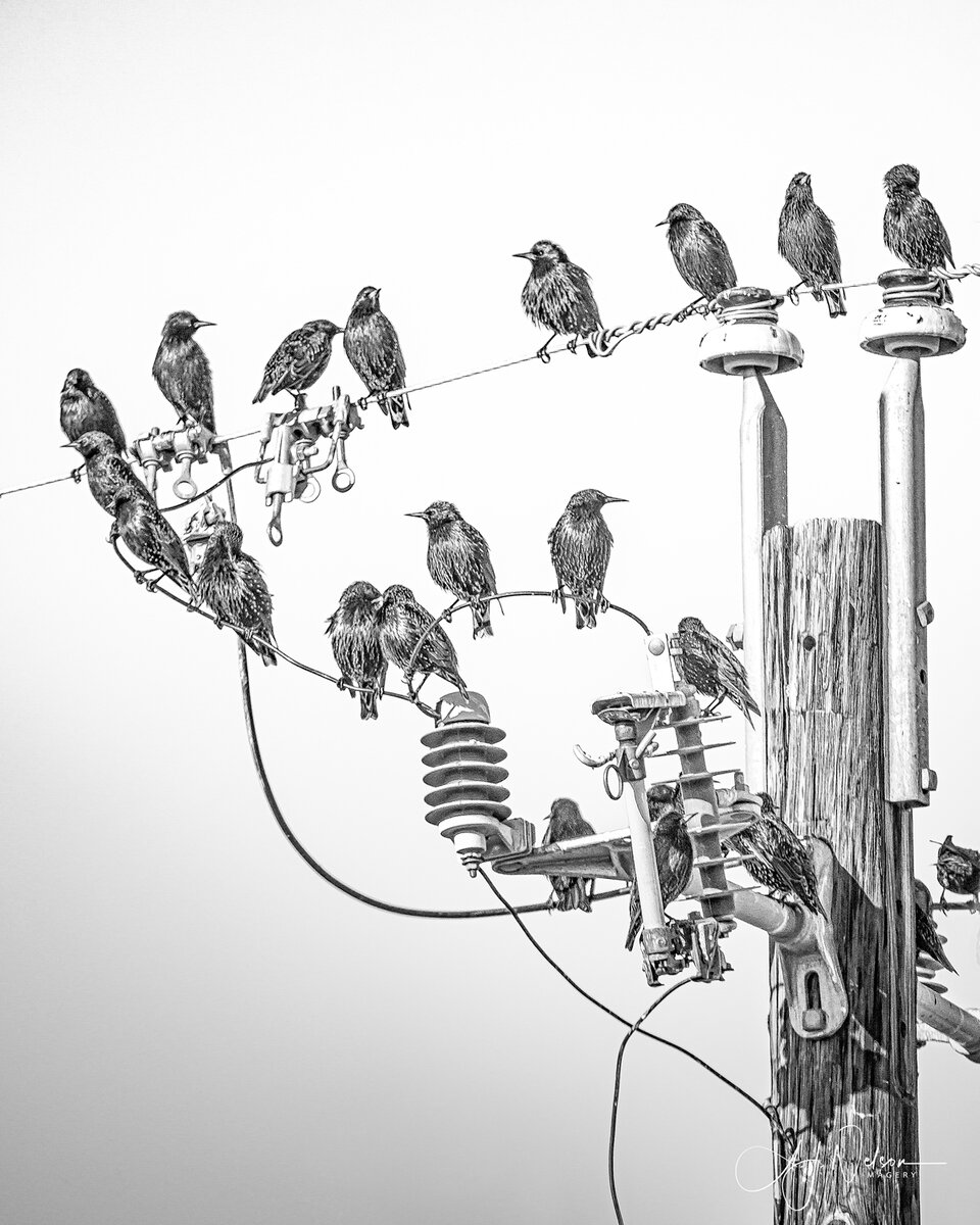 Local-Hangout---1.jpg
