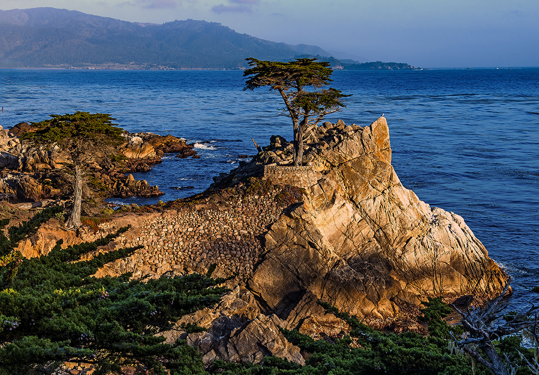 Lone Cypress (1 of 1).jpg
