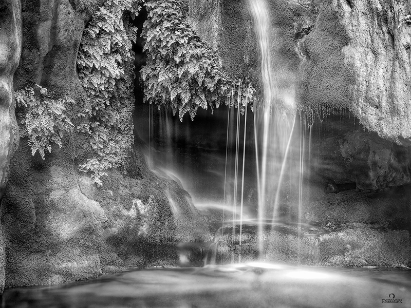 lower-elves-B&W-better-histogram-copy.jpg
