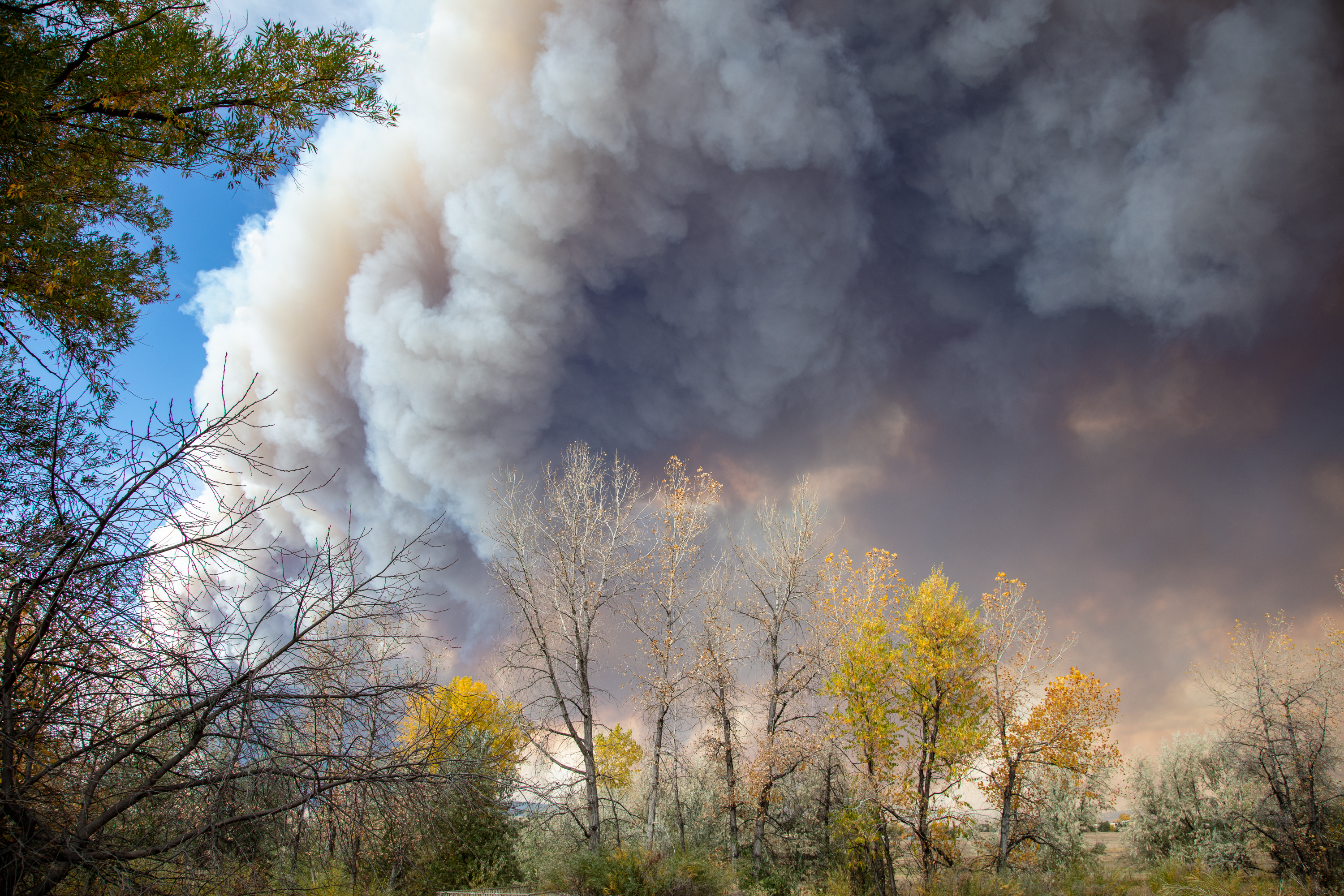 LRCC_CalWoodFire_sRGB_FW_TAP46878.jpg