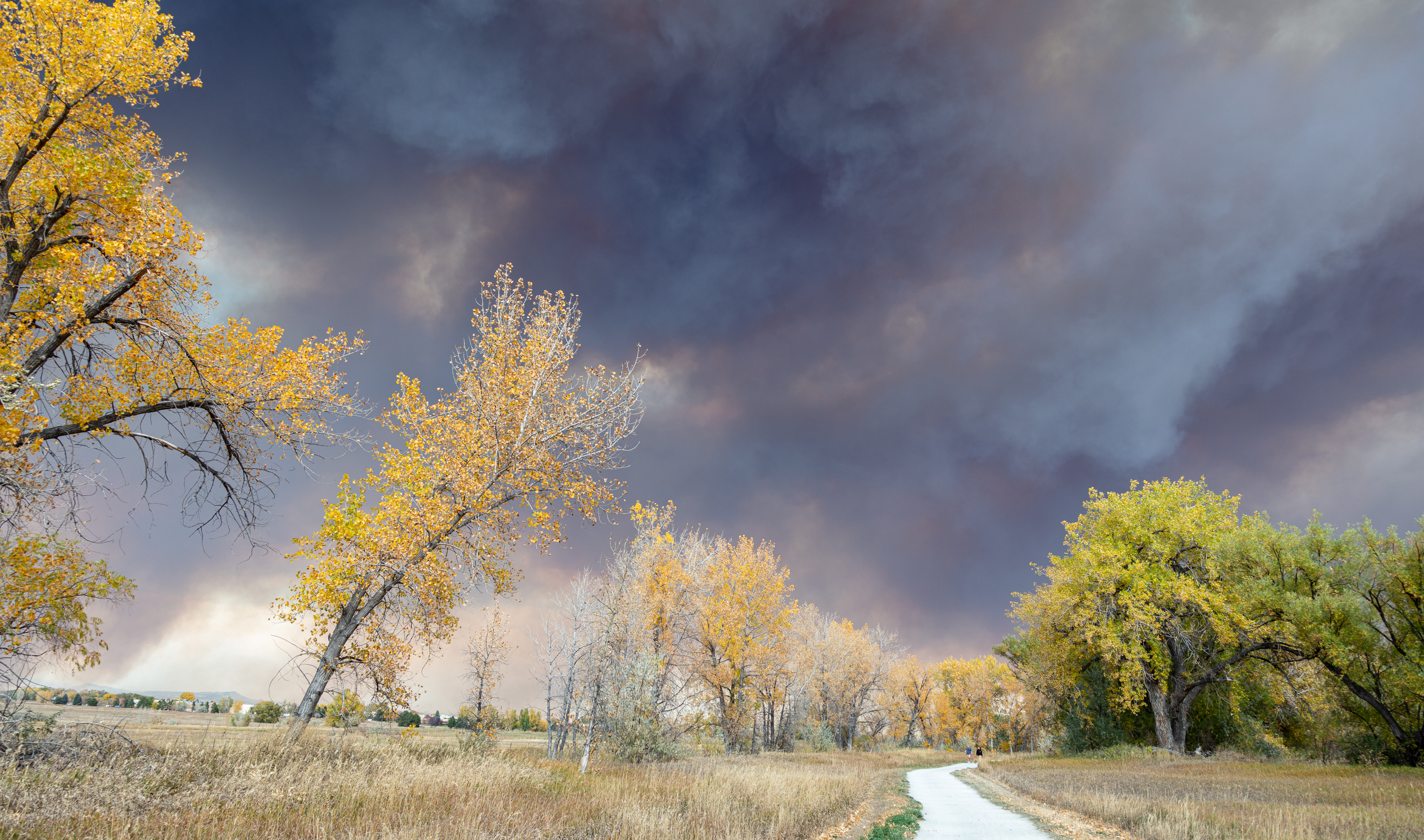 LRCC_CalWoodFire_sRGB_FW_TAP46880-2.jpg