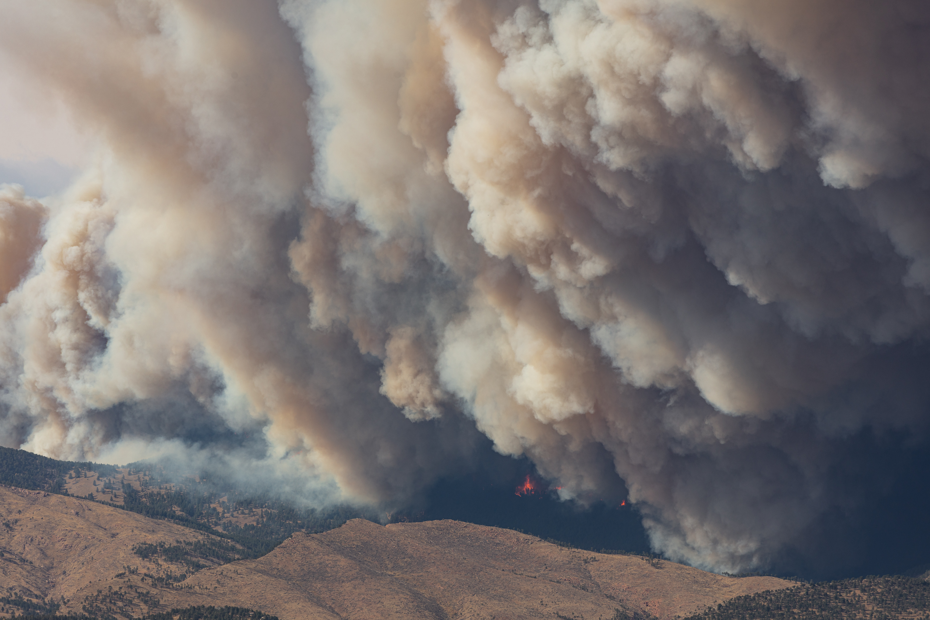 LRCC_CalWoodFire_sRGB_FW_TAP46887.jpg