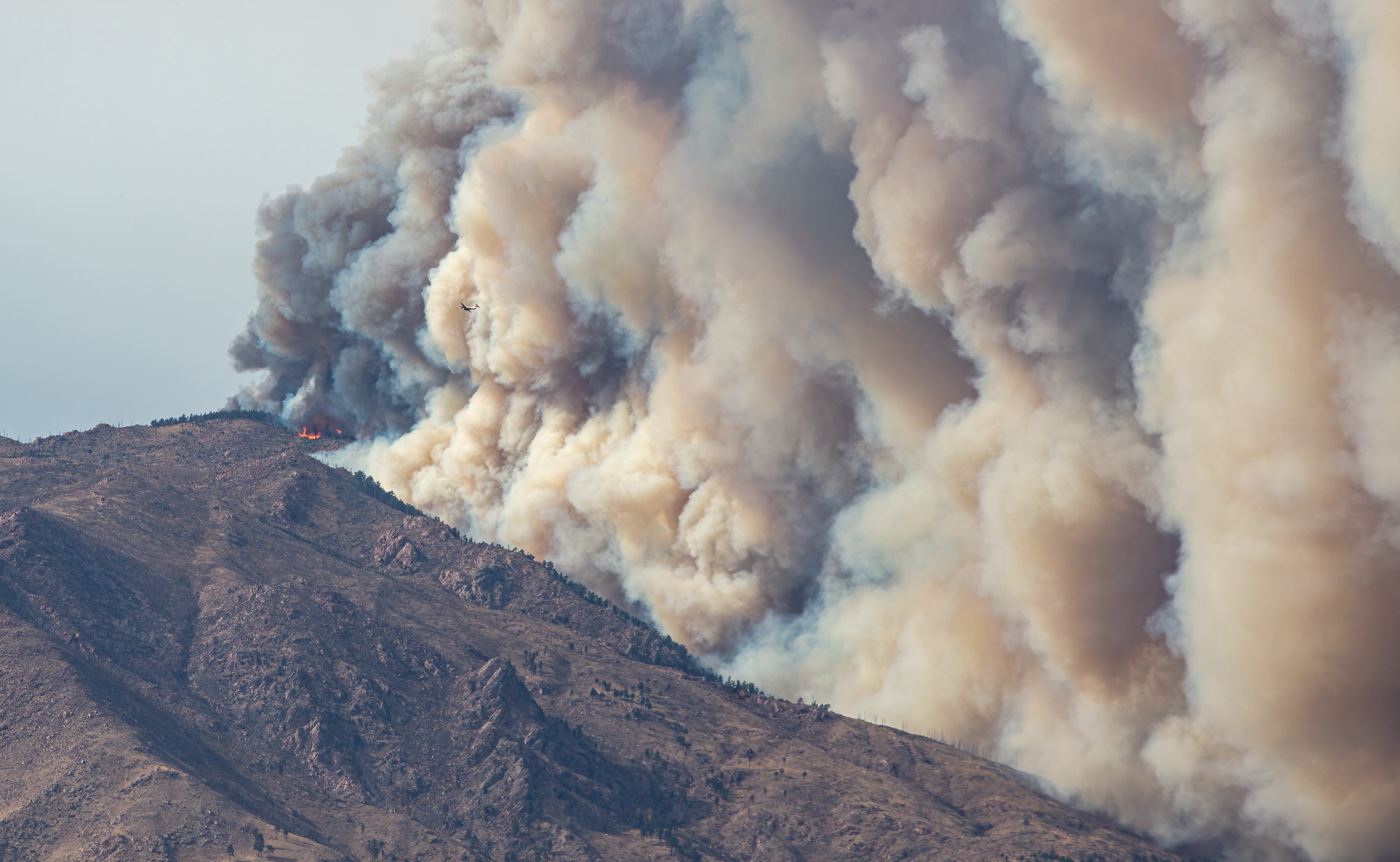 LRCC_CalWoodFire_sRGB_FW_TAP46906.jpg