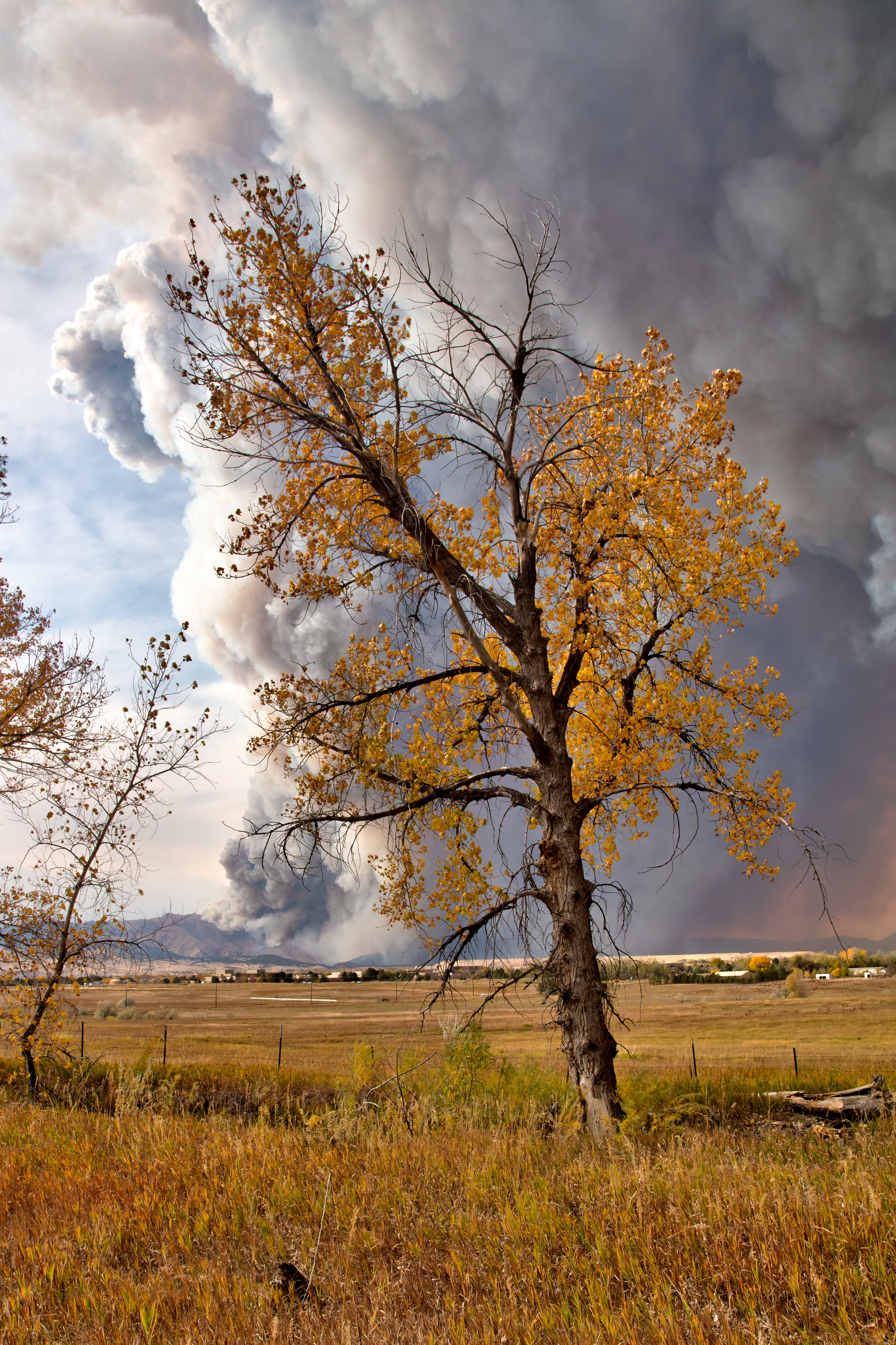LRCC_CalWoodFire_sRGB_FW_TAP46934_5_6.jpg