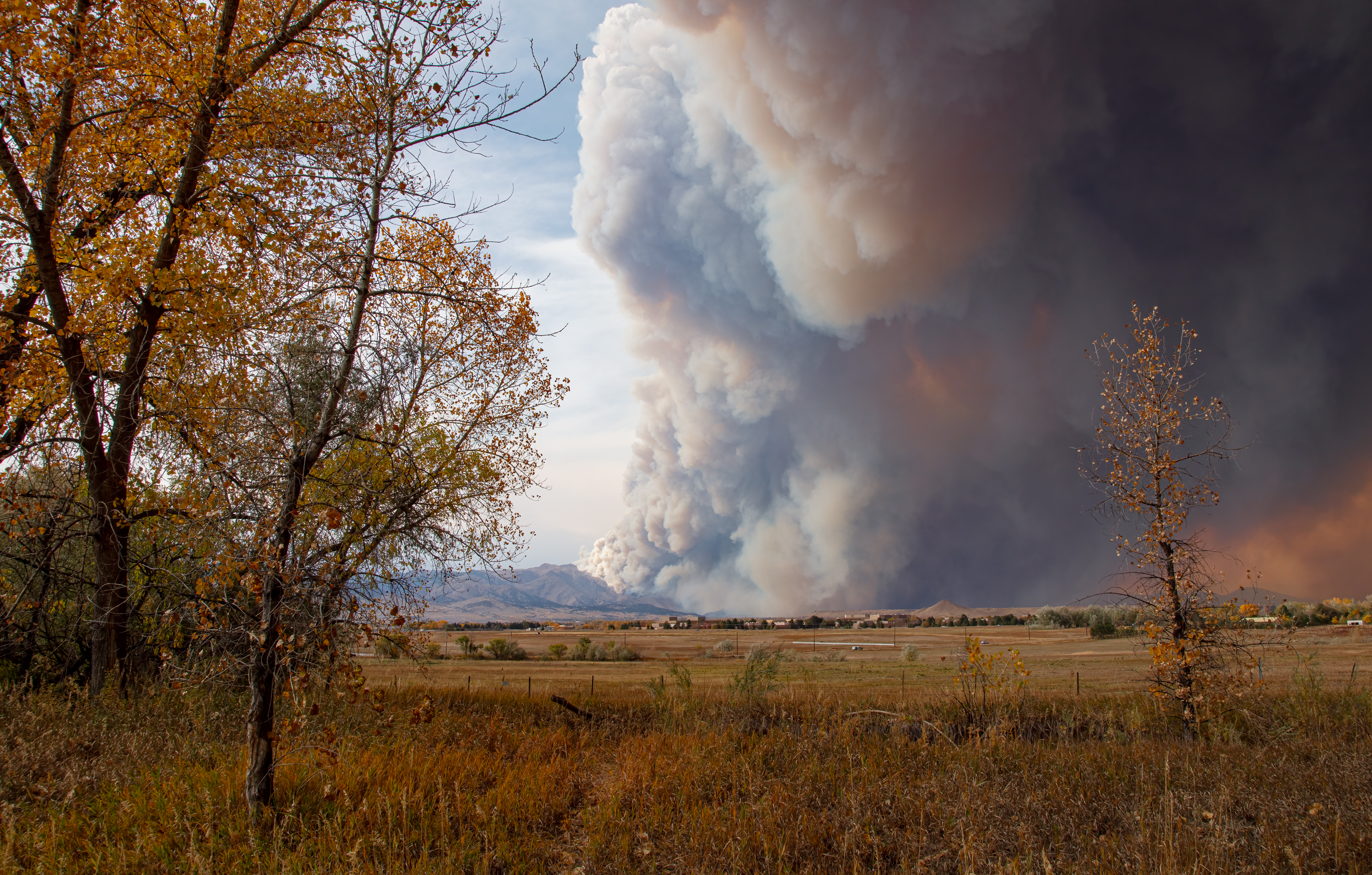 LRCC_CalWoodFire_sRGB_FW_TAP46947.jpg