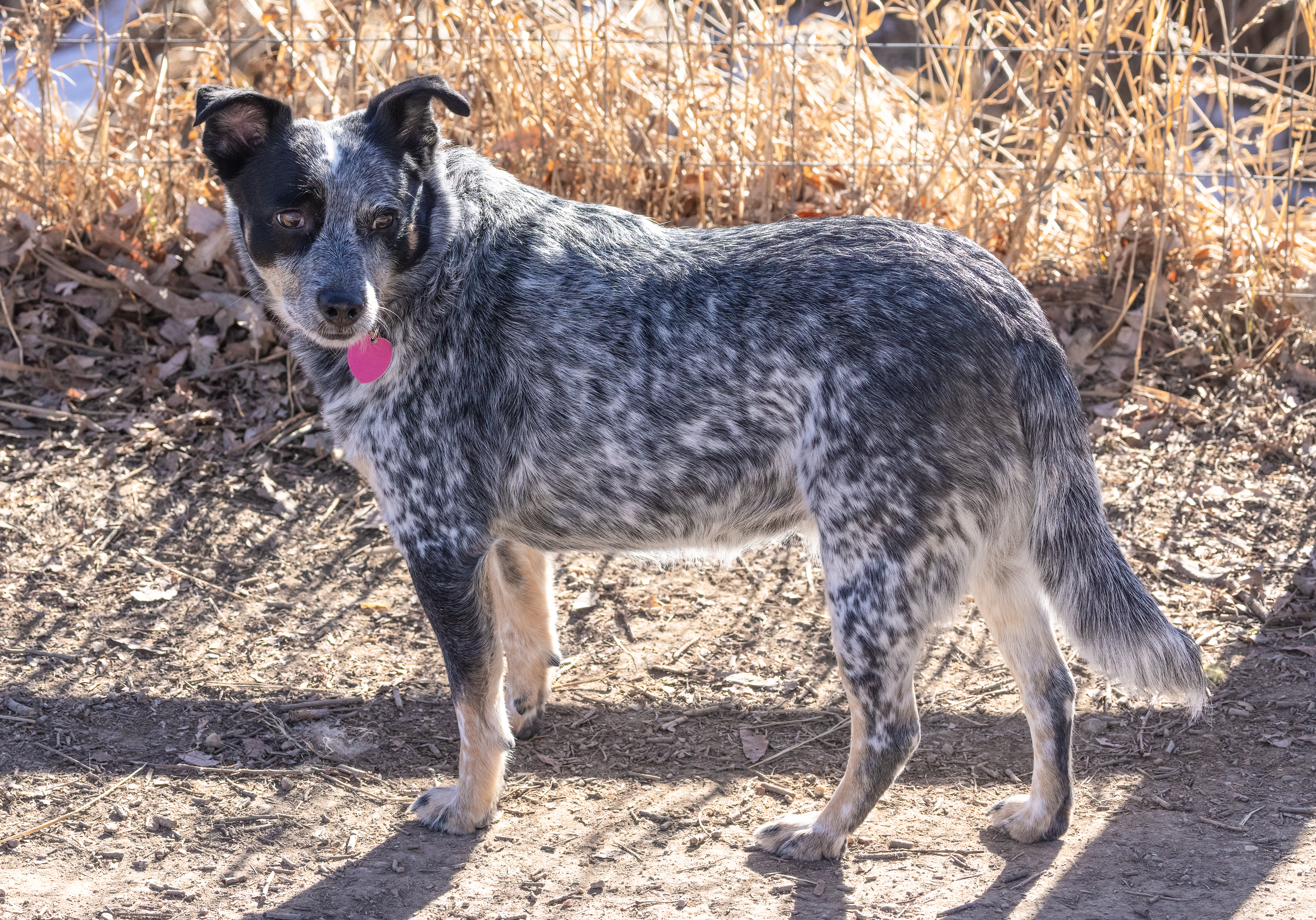 LRCC_sRGB_FW_Ellie_TAP_2198.jpg
