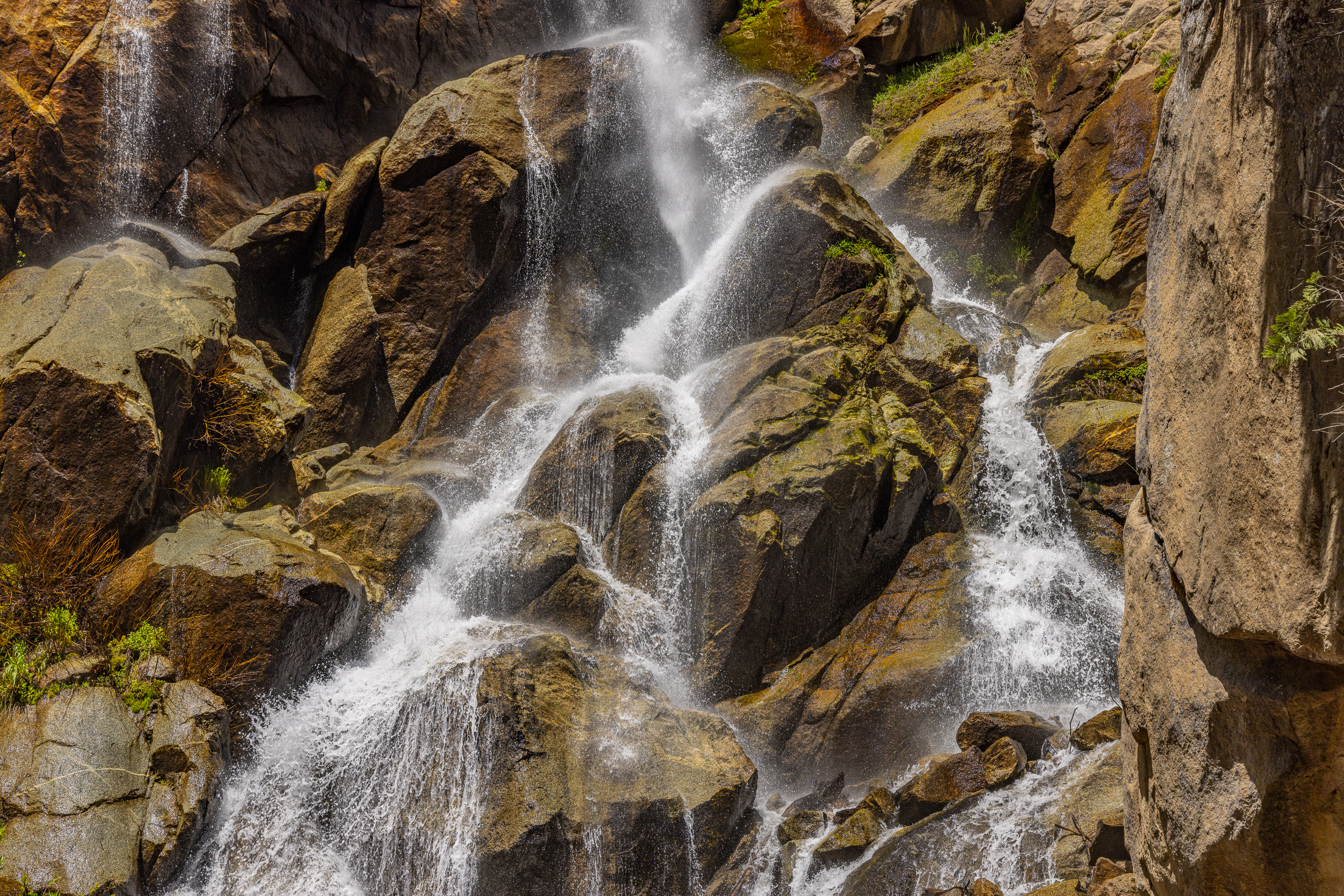 LRCC_sRGB_FW_TAP10950.jpg