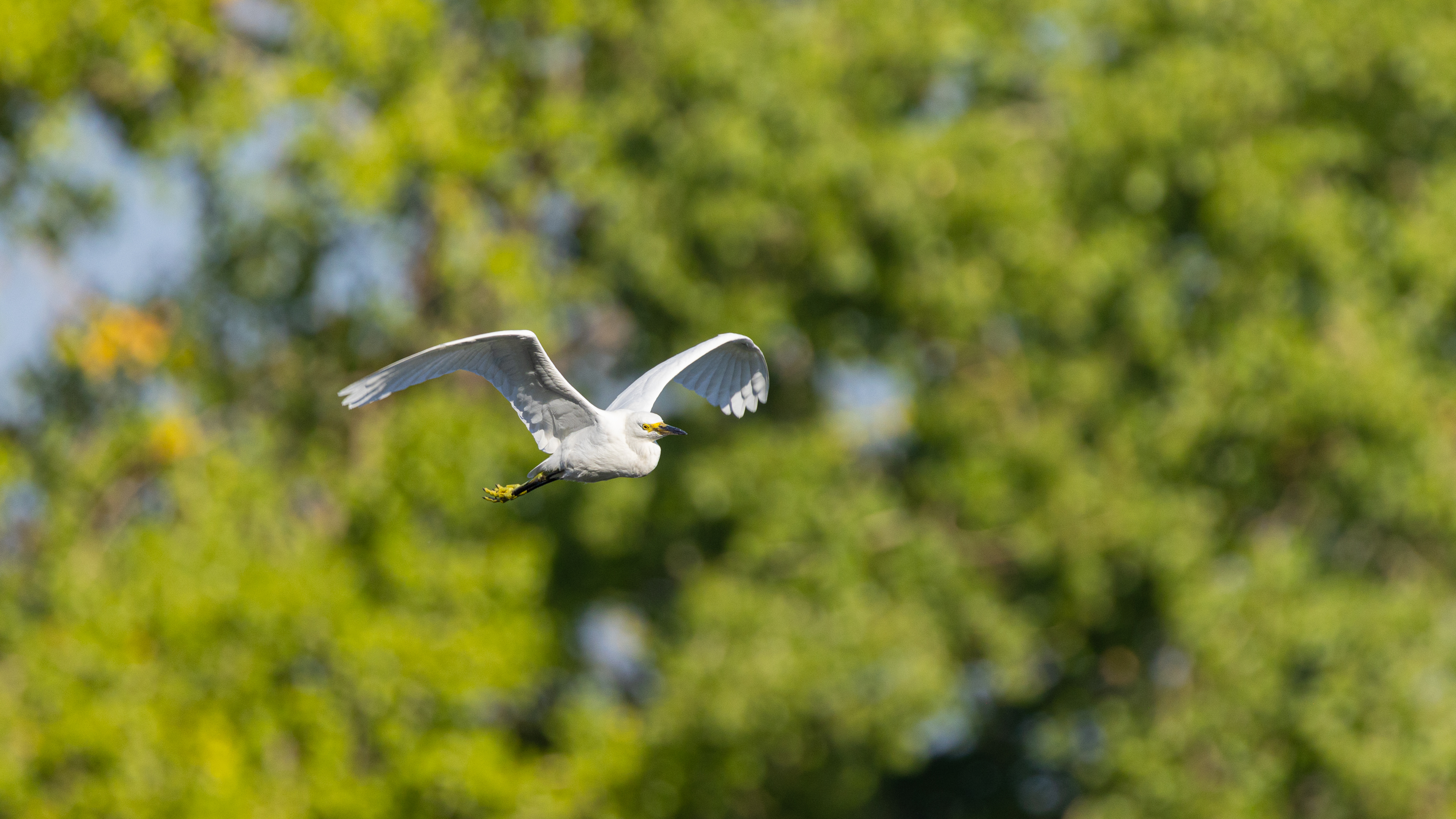 LRCC_sRGB_FW_TAP12078.jpg