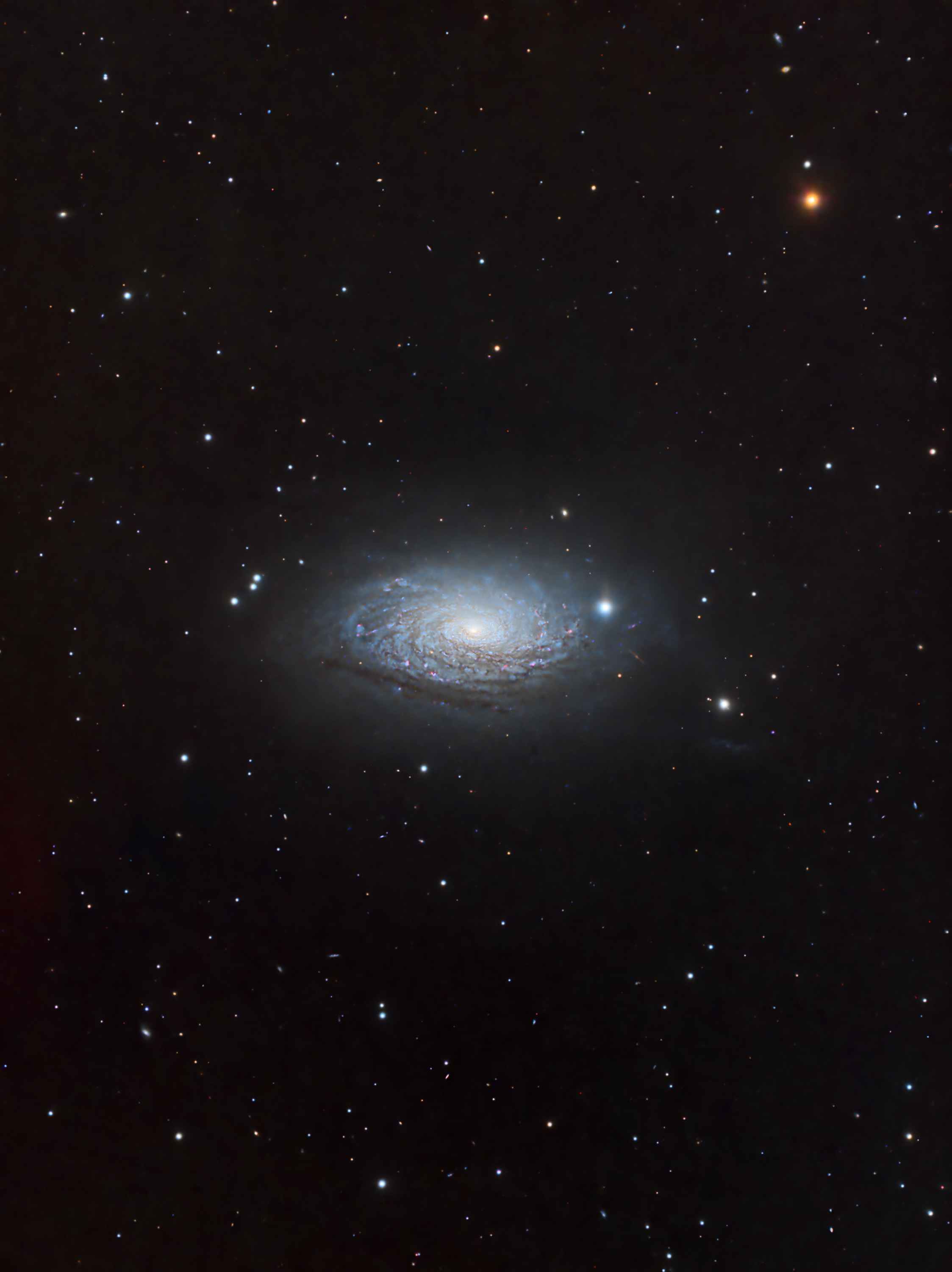 LRCC_sRGB_FW_V2_M63_RGB_BN_ArcS_HT_CT_LHE_SCNR_NXT.jpg