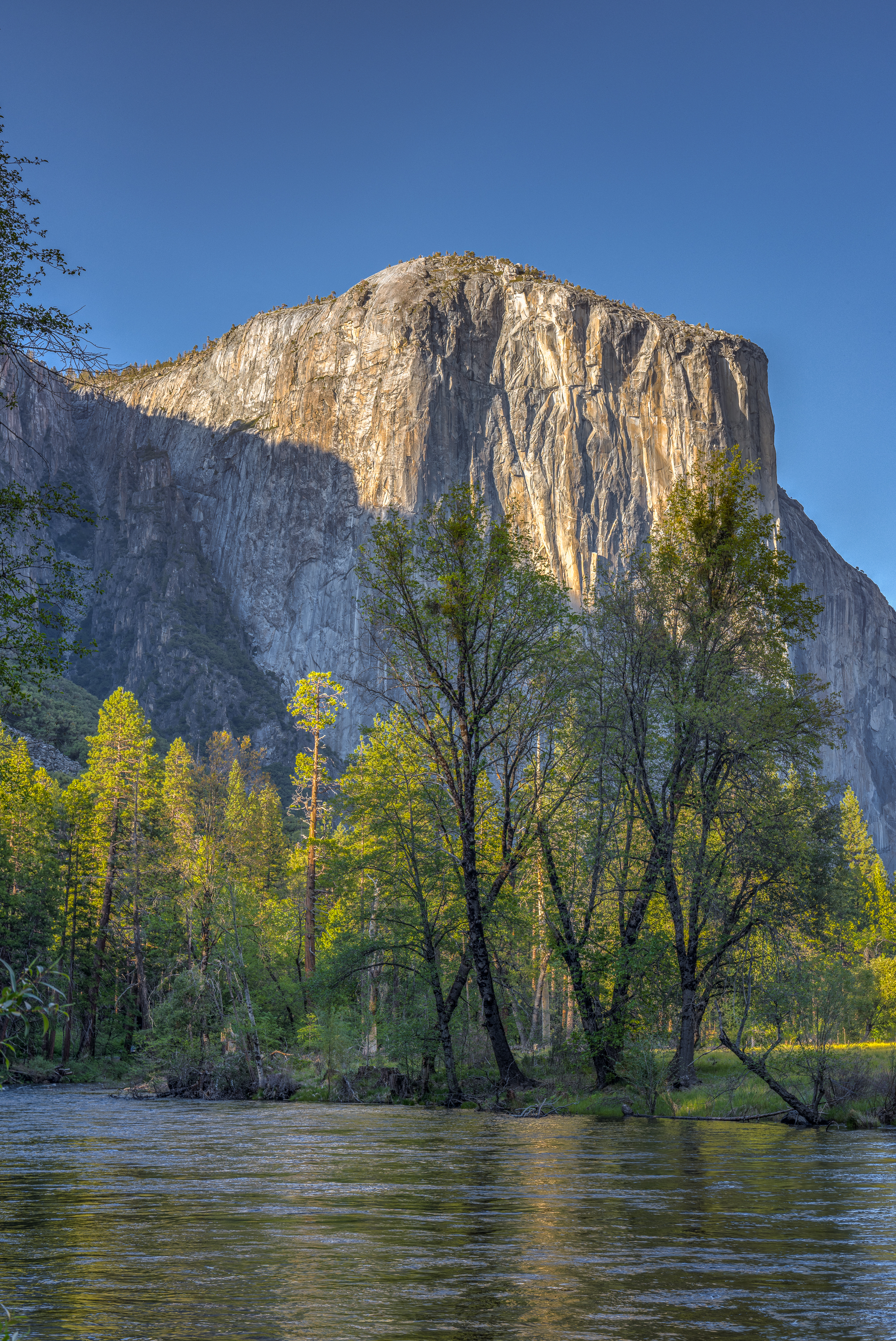LRCC_sRGB_vert_FW_sRGB_TAP10442_3_4_Optimizer2.jpg