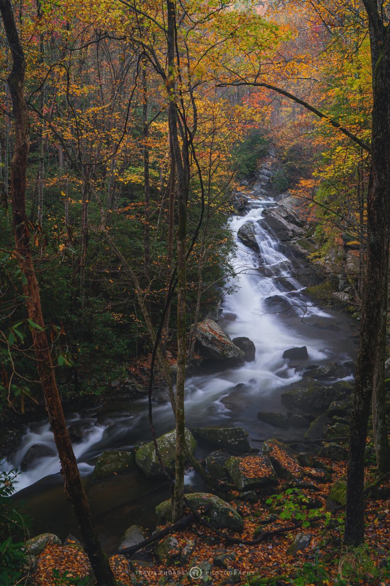 LynnCampCascades-FB.jpg