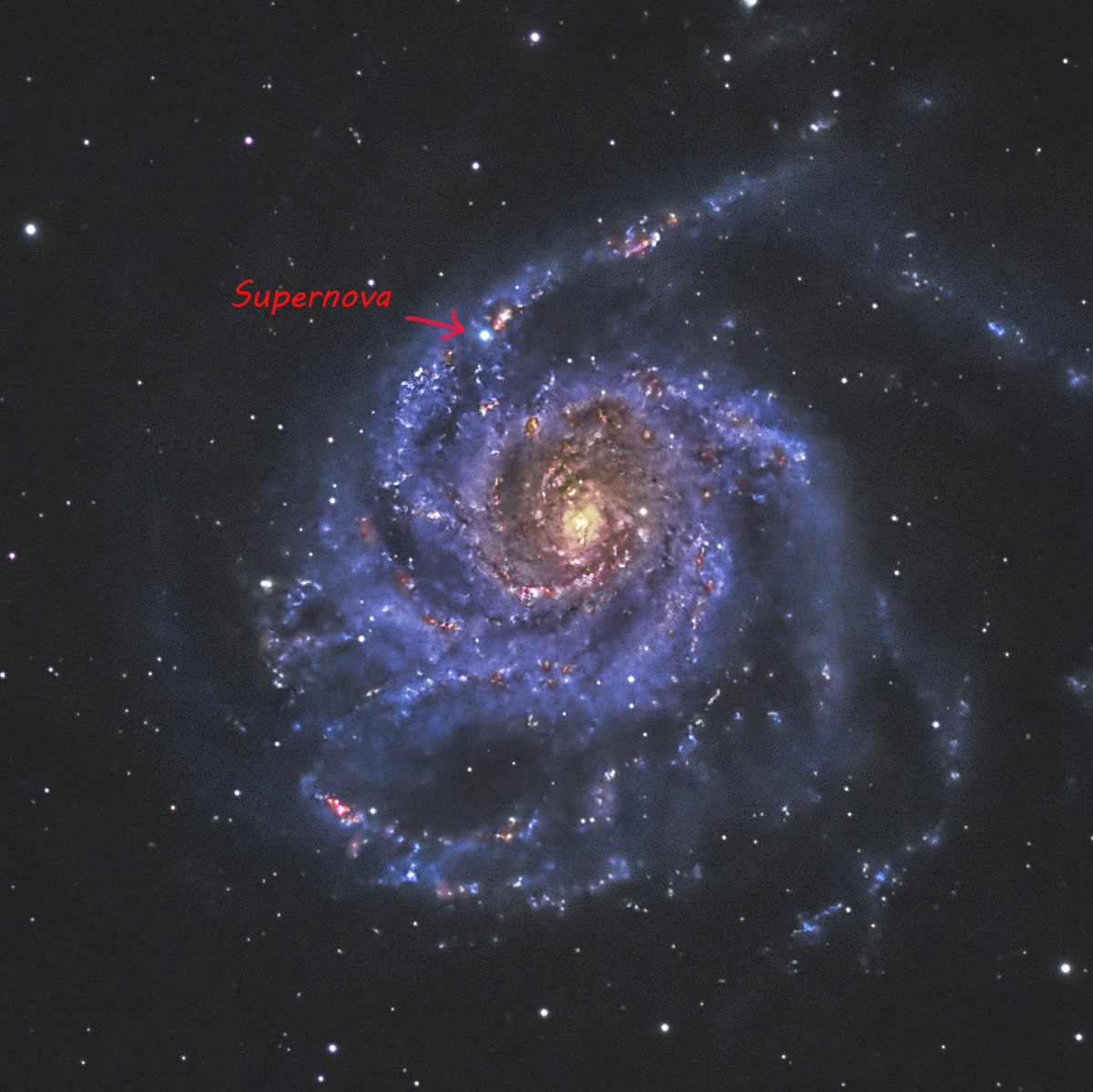 M101_20230524_SuperNova_Text_d2w.jpg