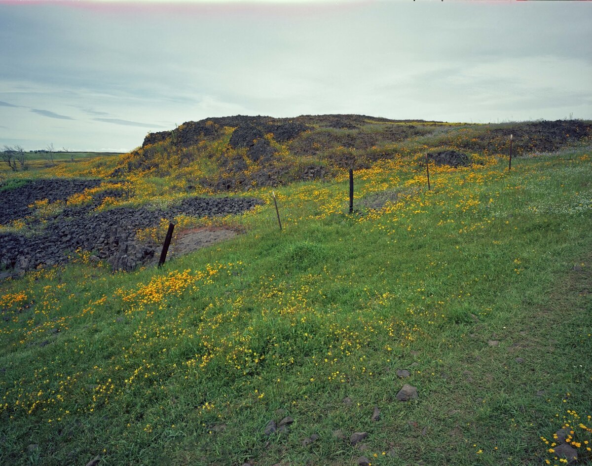 M7_0002_221221_008w.jpg