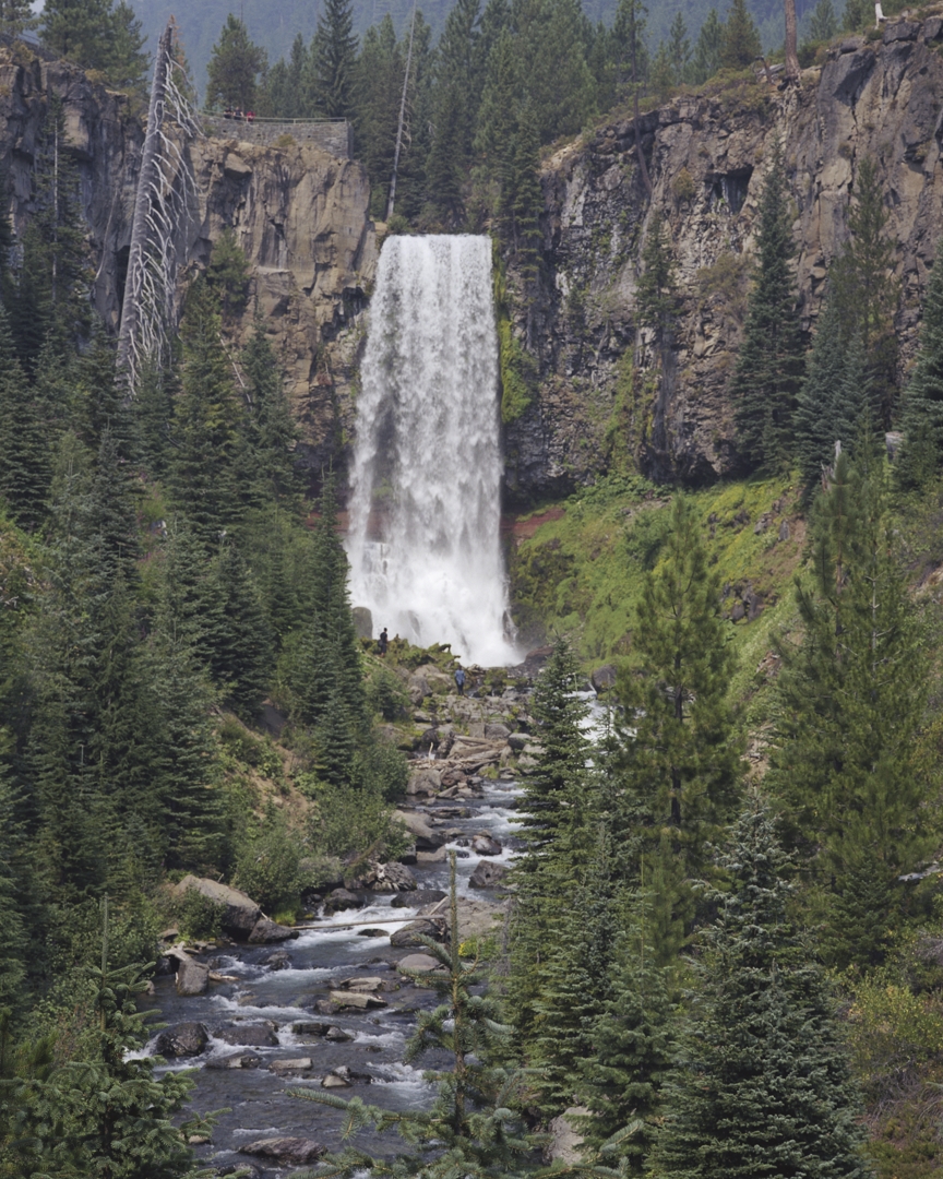 M7ekep_170820_010w.jpg