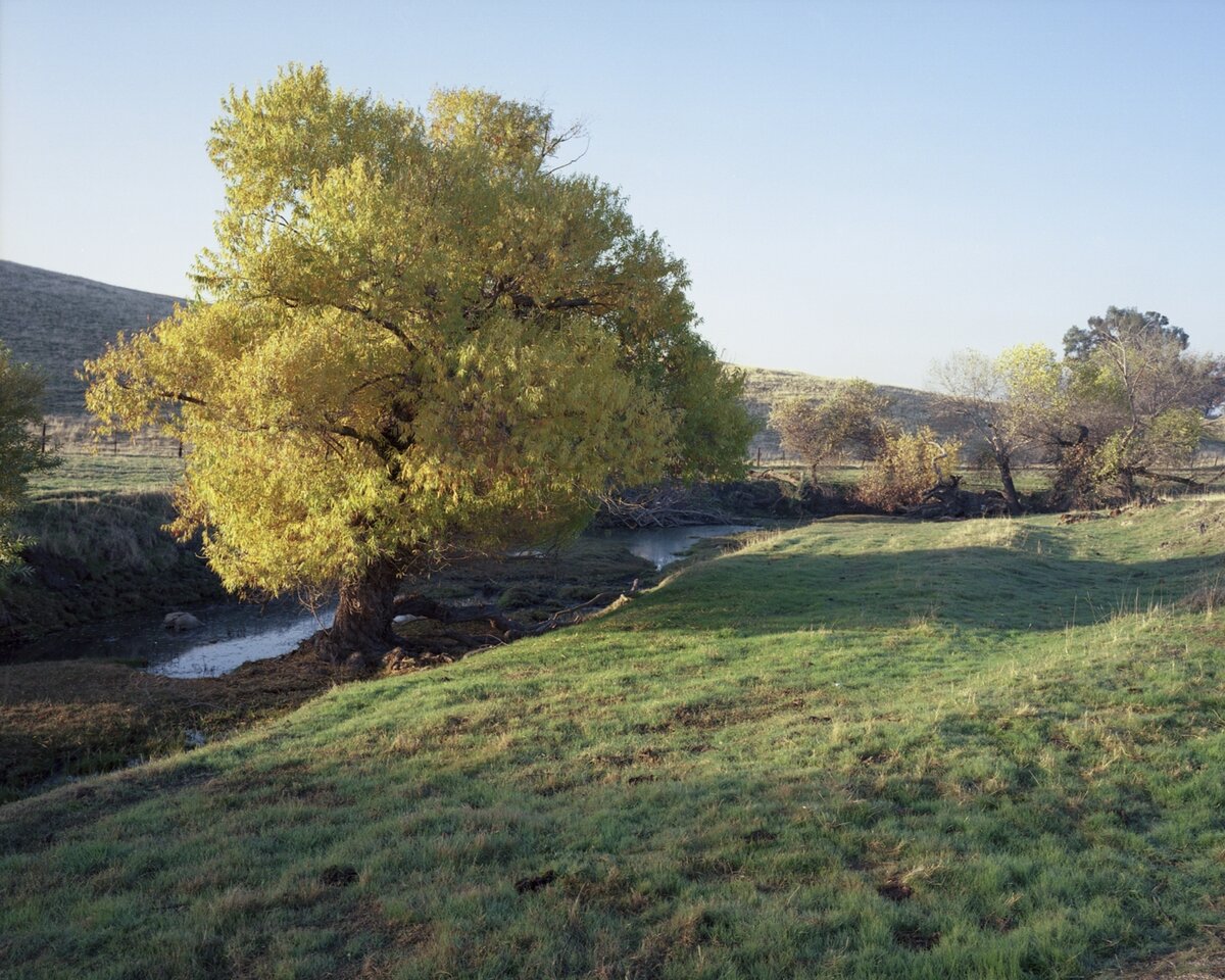 M7ekep_171216_011_c1w.jpg