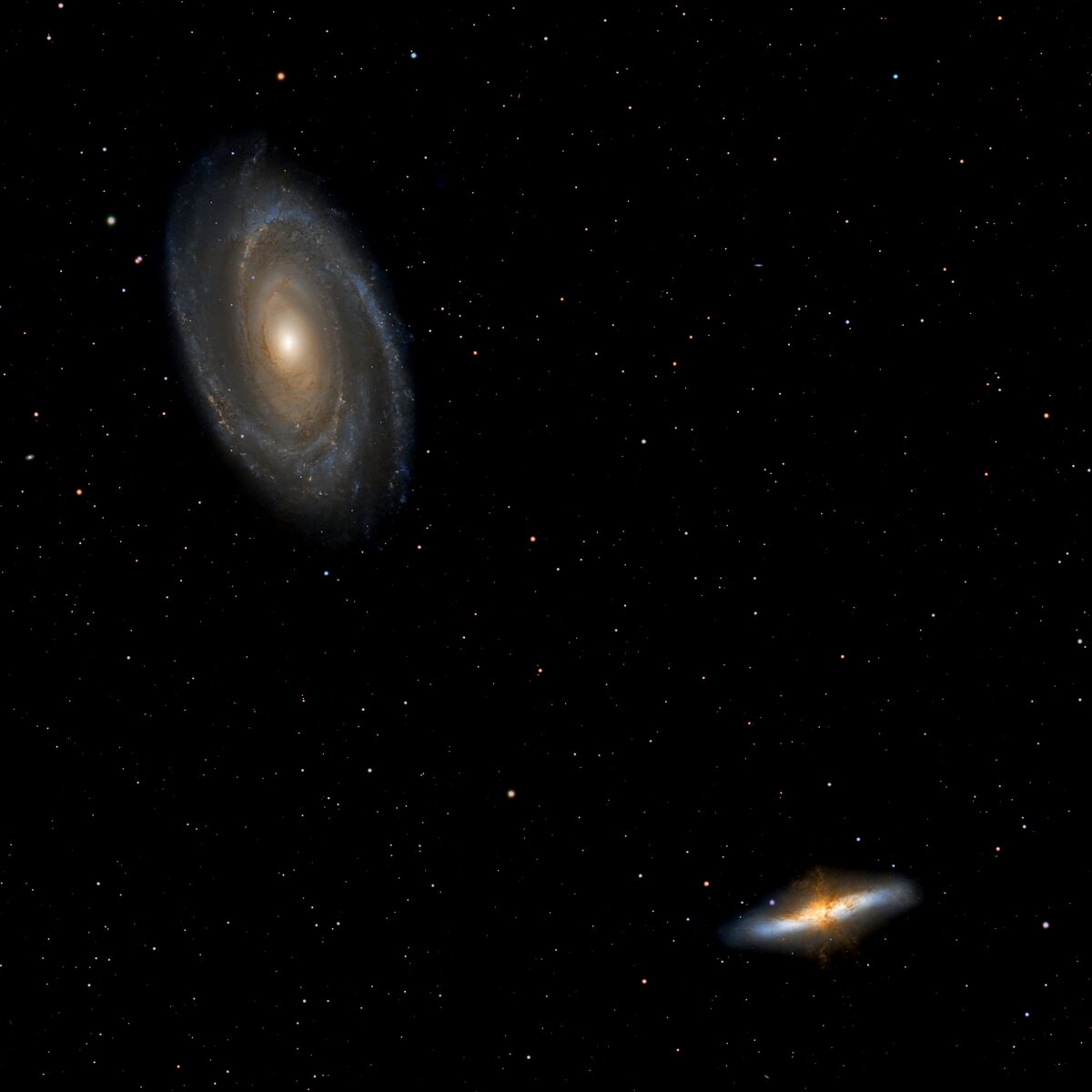 M81_82_2025.Rev1.jpg