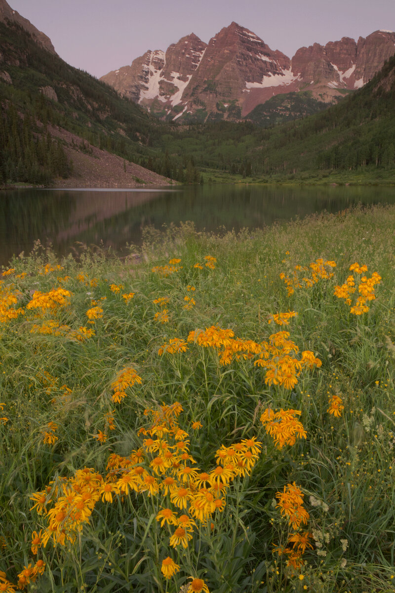 Looking for Fall ideas after Colorado 2021 Focal World