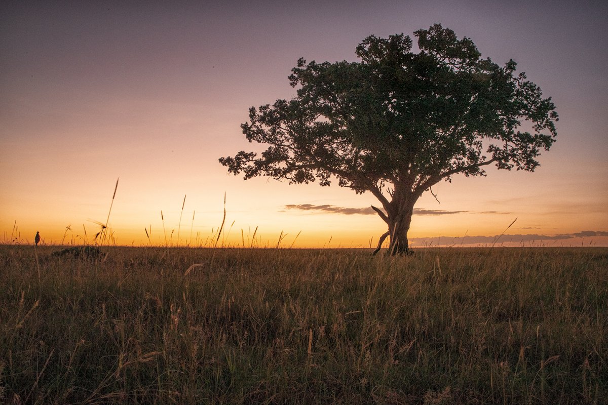 Masai Morning pt 2 | Focal World