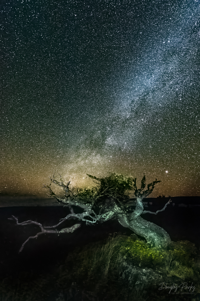 Mauna Kea Starfield.jpg